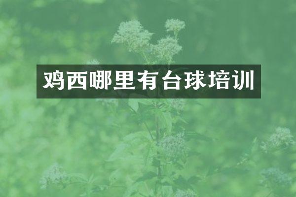 鸡西哪里有台球培训