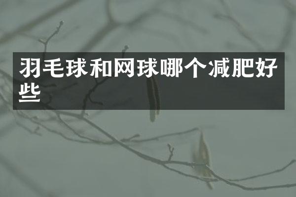 羽毛球和网球哪个减肥好些