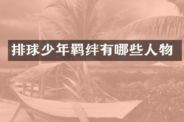 排球少年羁绊有哪些人物