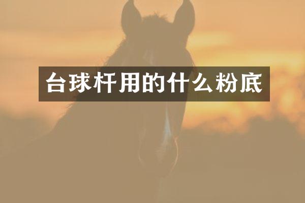 台球杆用的什么粉底
