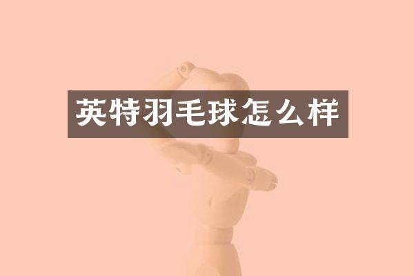 英特羽毛球怎么样