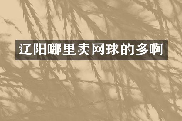 辽阳哪里卖网球的多啊