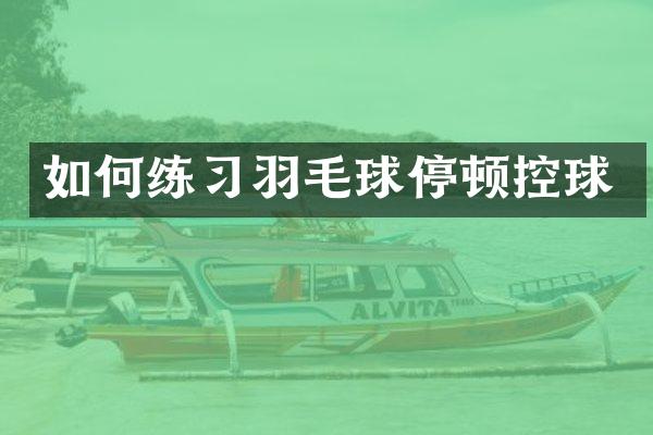 如何练习羽毛球停顿控球