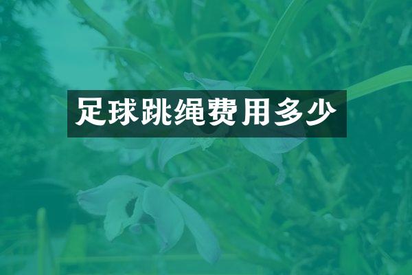 足球跳绳费用多少