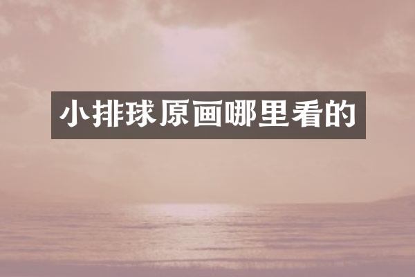 小排球原画哪里看的