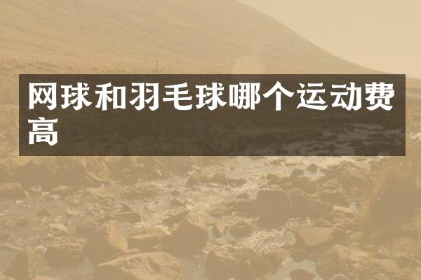 网球和羽毛球哪个运动费高