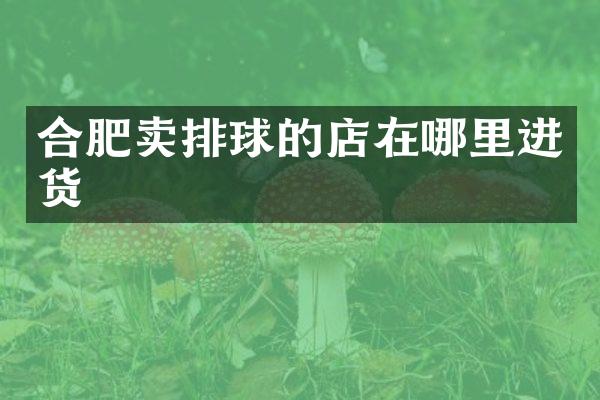 合肥卖排球的店在哪里进货