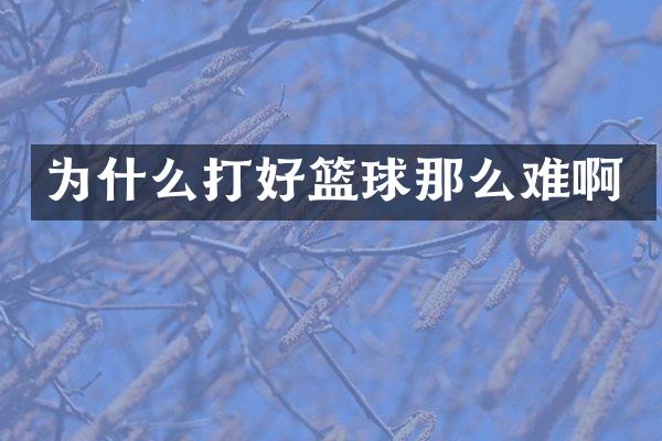 为什么打好篮球那么难啊