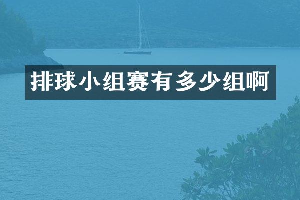排球小组赛有多少组啊