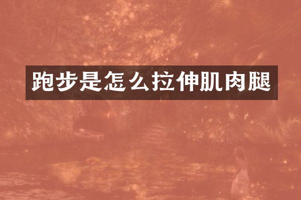 跑步是怎么拉伸肌肉腿