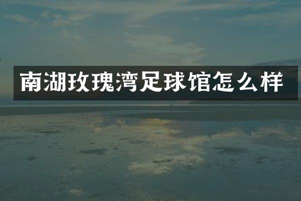 南湖玫瑰湾足球馆怎么样