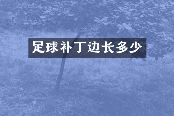 足球补丁边长多少