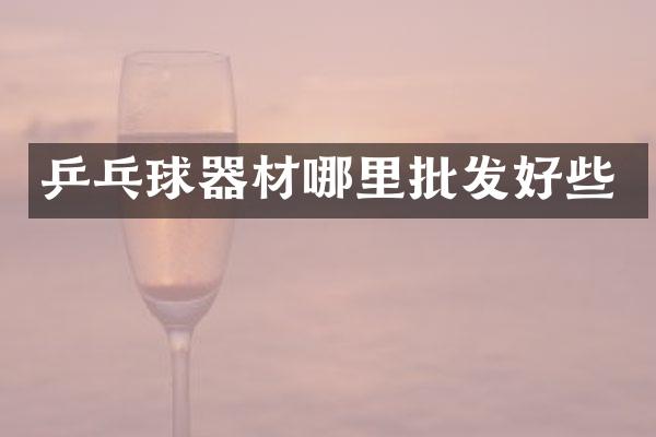 乒乓球器材哪里批发好些