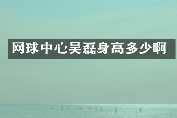 网球中心吴磊身高多少啊