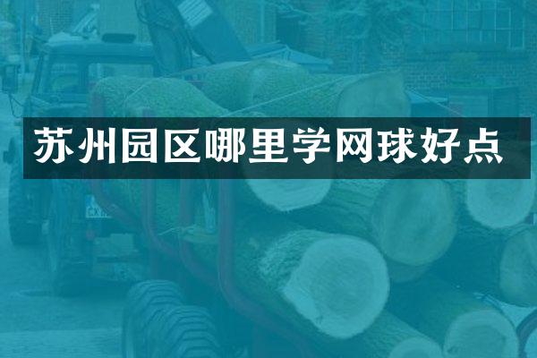 苏州园区哪里学网球好点