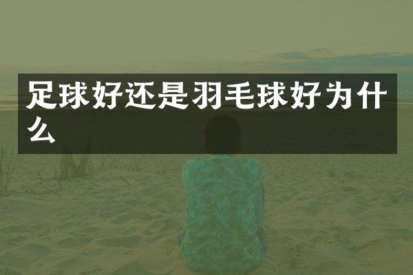足球好还是羽毛球好为什么