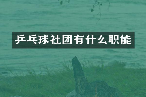 乒乓球社团有什么职能