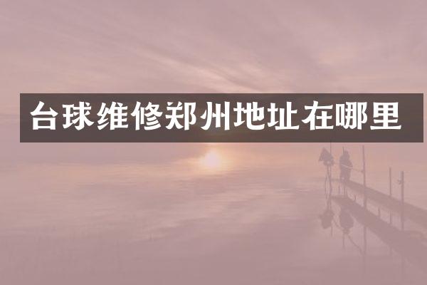 台球维修郑州地址在哪里