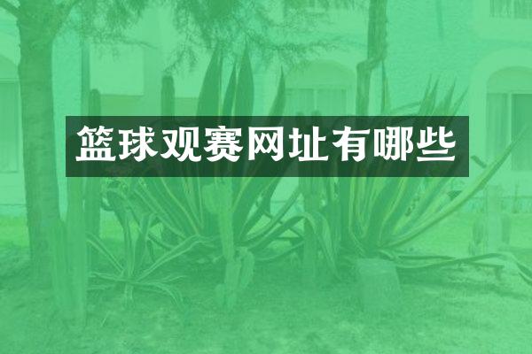 篮球观赛网址有哪些