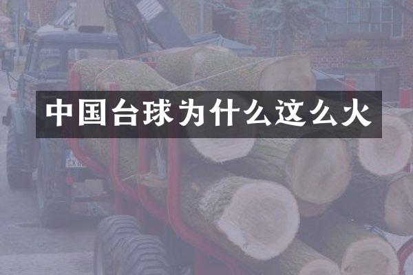 中国台球为什么这么火