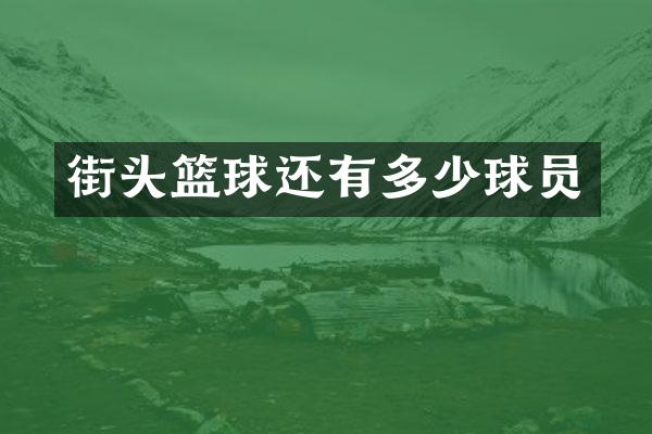 街头篮球还有多少球员