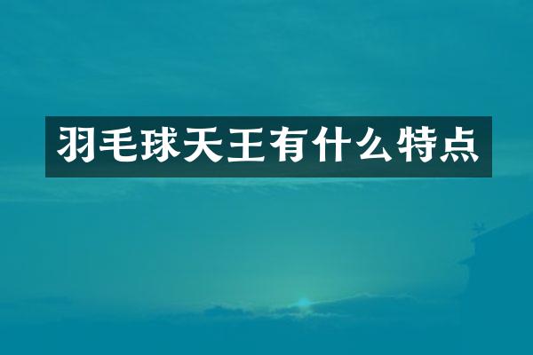 羽毛球天王有什么特点