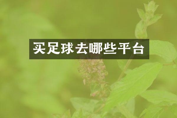 买足球去哪些平台