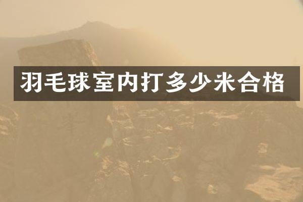 羽毛球室内打多少米合格