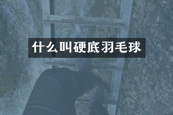 什么叫硬底羽毛球
