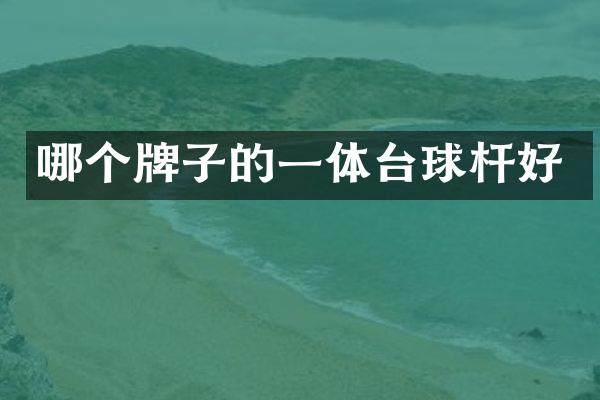 哪个牌子的一体台球杆好