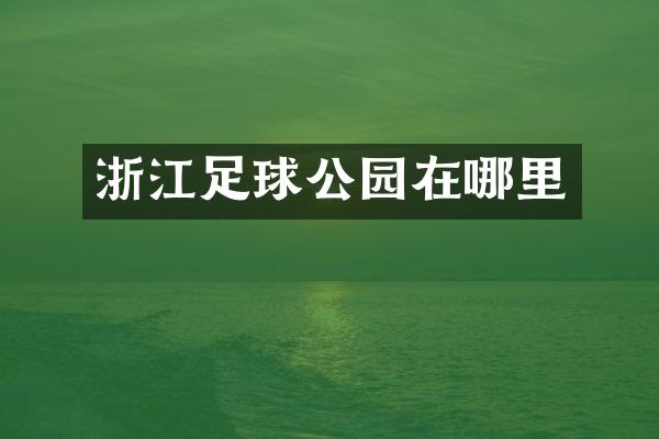 浙江足球公园在哪里