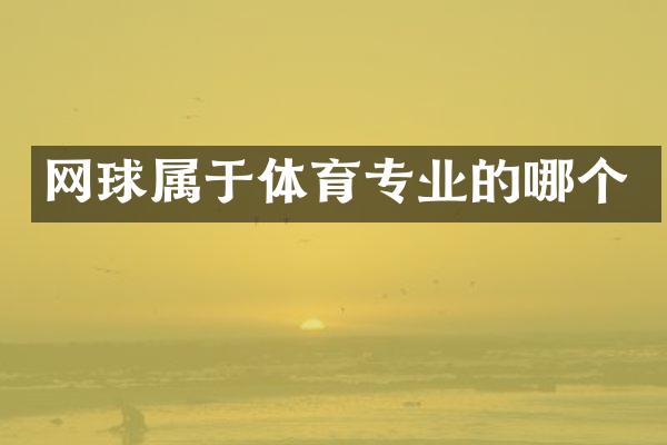 网球属于体育专业的哪个