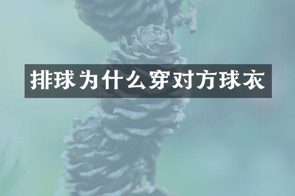 排球为什么穿对方球衣