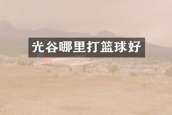光谷哪里打篮球好