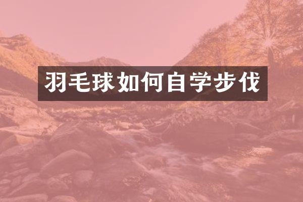 羽毛球如何自学步伐
