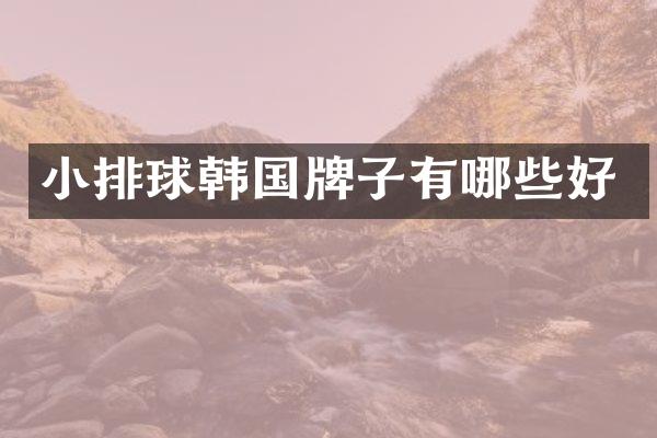 小排球韩国牌子有哪些好