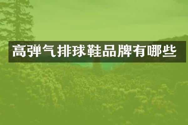 高弹气排球鞋品牌有哪些