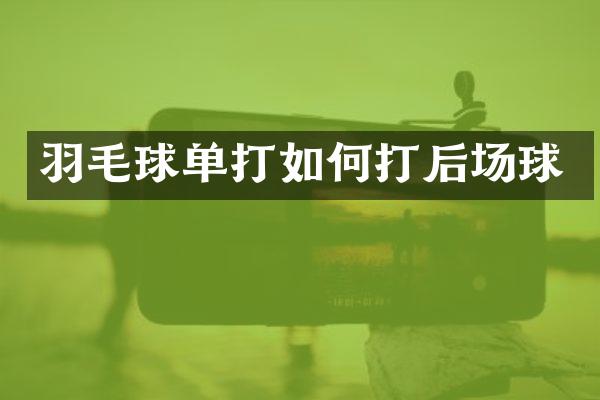 羽毛球单打如何打后场球