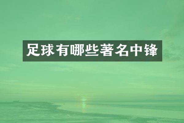足球有哪些著名中锋