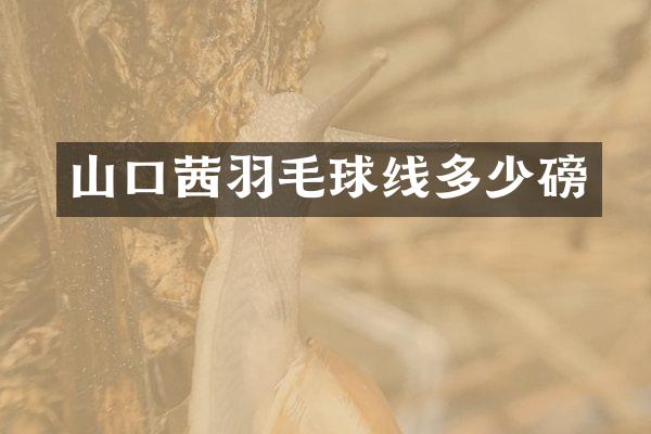 山口茜羽毛球线多少磅