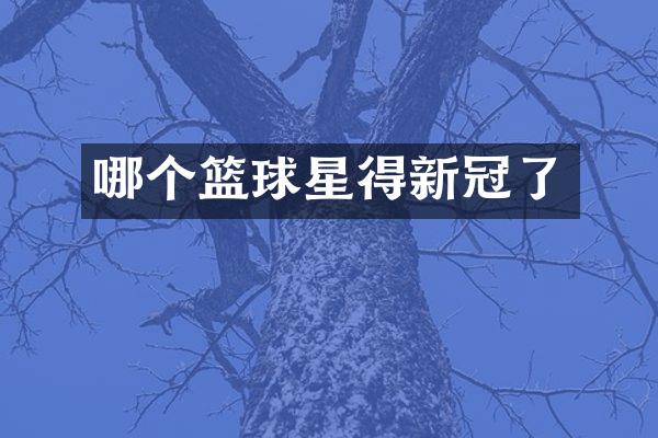 哪个篮球星得新冠了