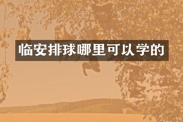 临安排球哪里可以学的