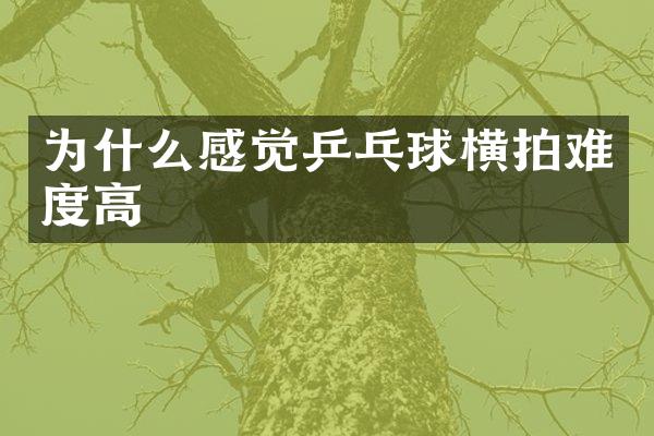 为什么感觉乒乓球横拍难度高