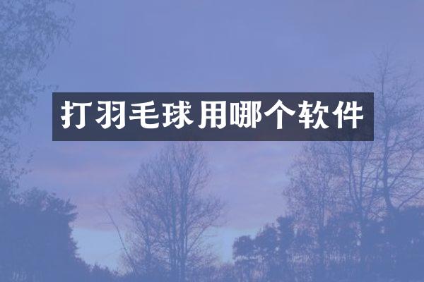 打羽毛球用哪个软件