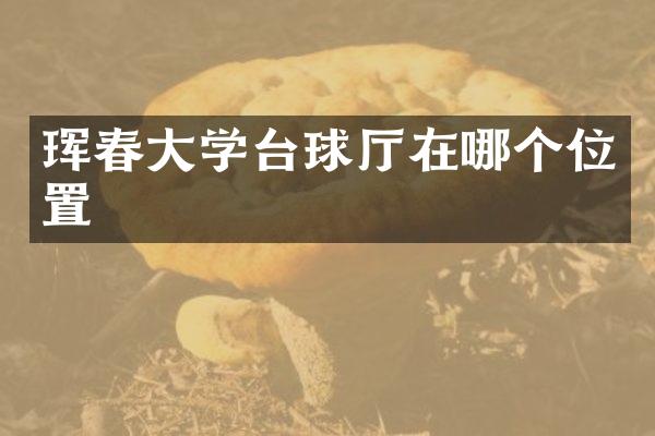珲春大学台球厅在哪个位置