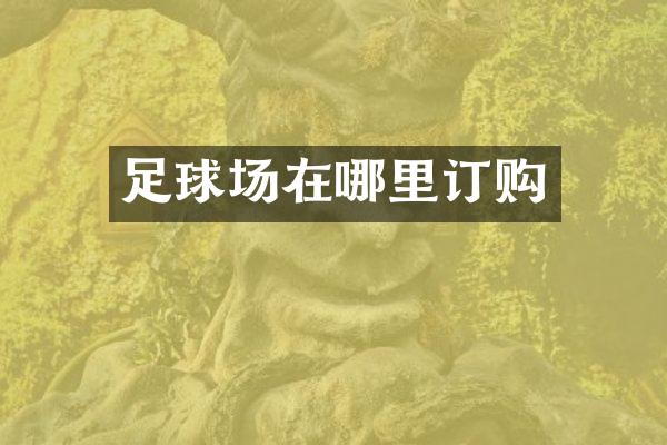 足球场在哪里订购