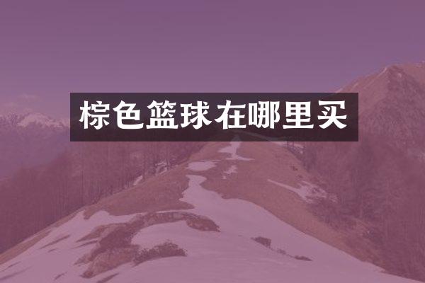 棕色篮球在哪里买