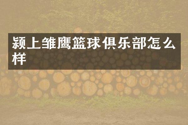 颍上雏鹰篮球俱乐部怎么样