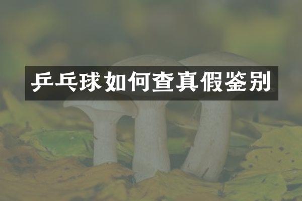乒乓球如何查真假鉴别
