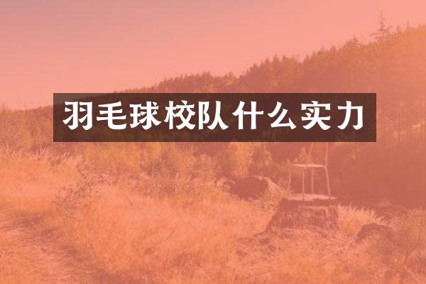 羽毛球校队什么实力